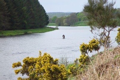 riverdee016.jpg